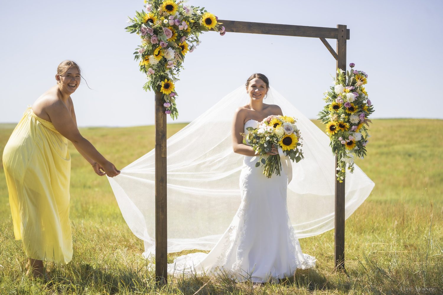 A sunflower and garden rose arch on the prairie, the veil caught by the wind