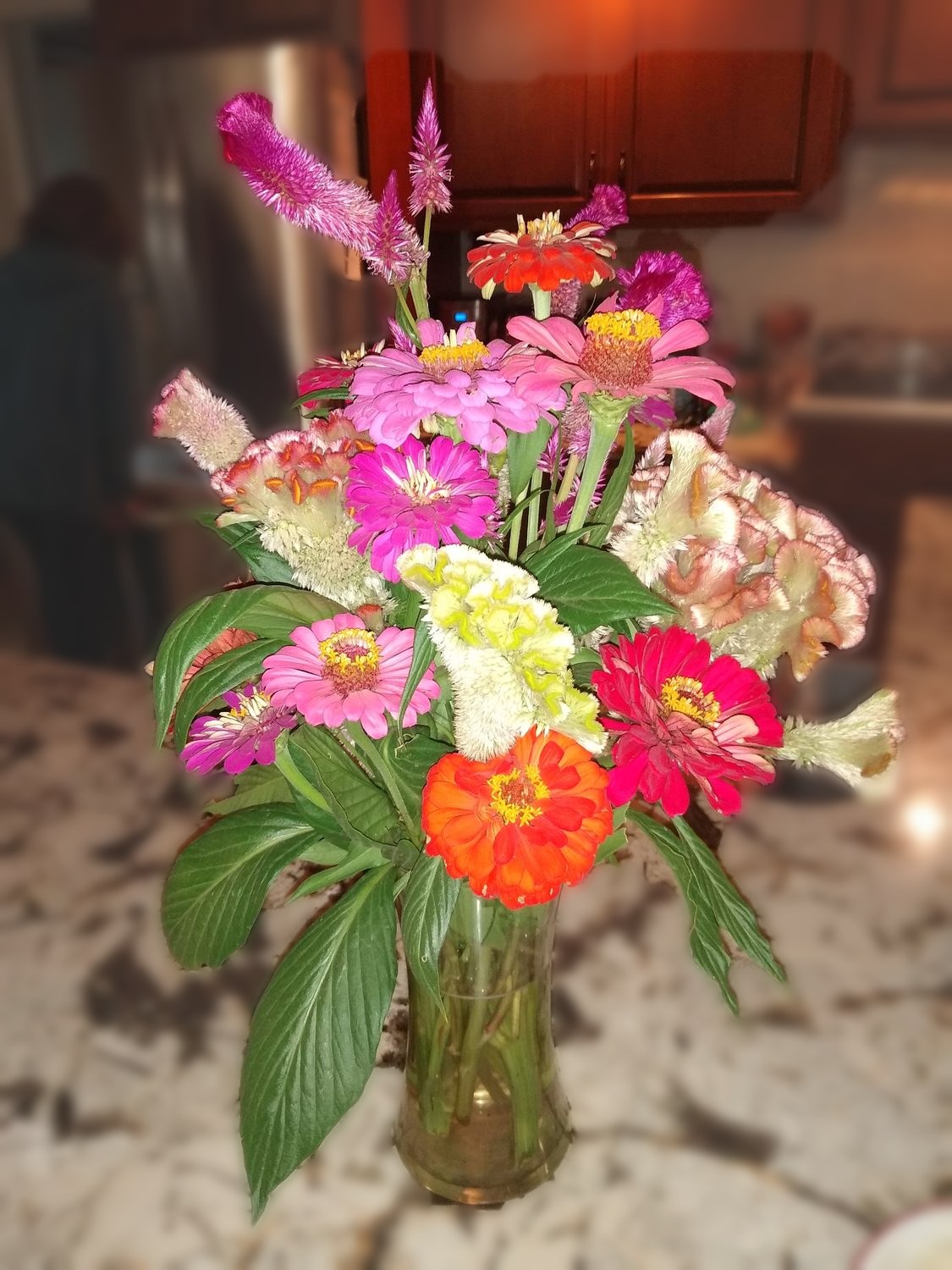Garden zinnias and cockscomb celosia