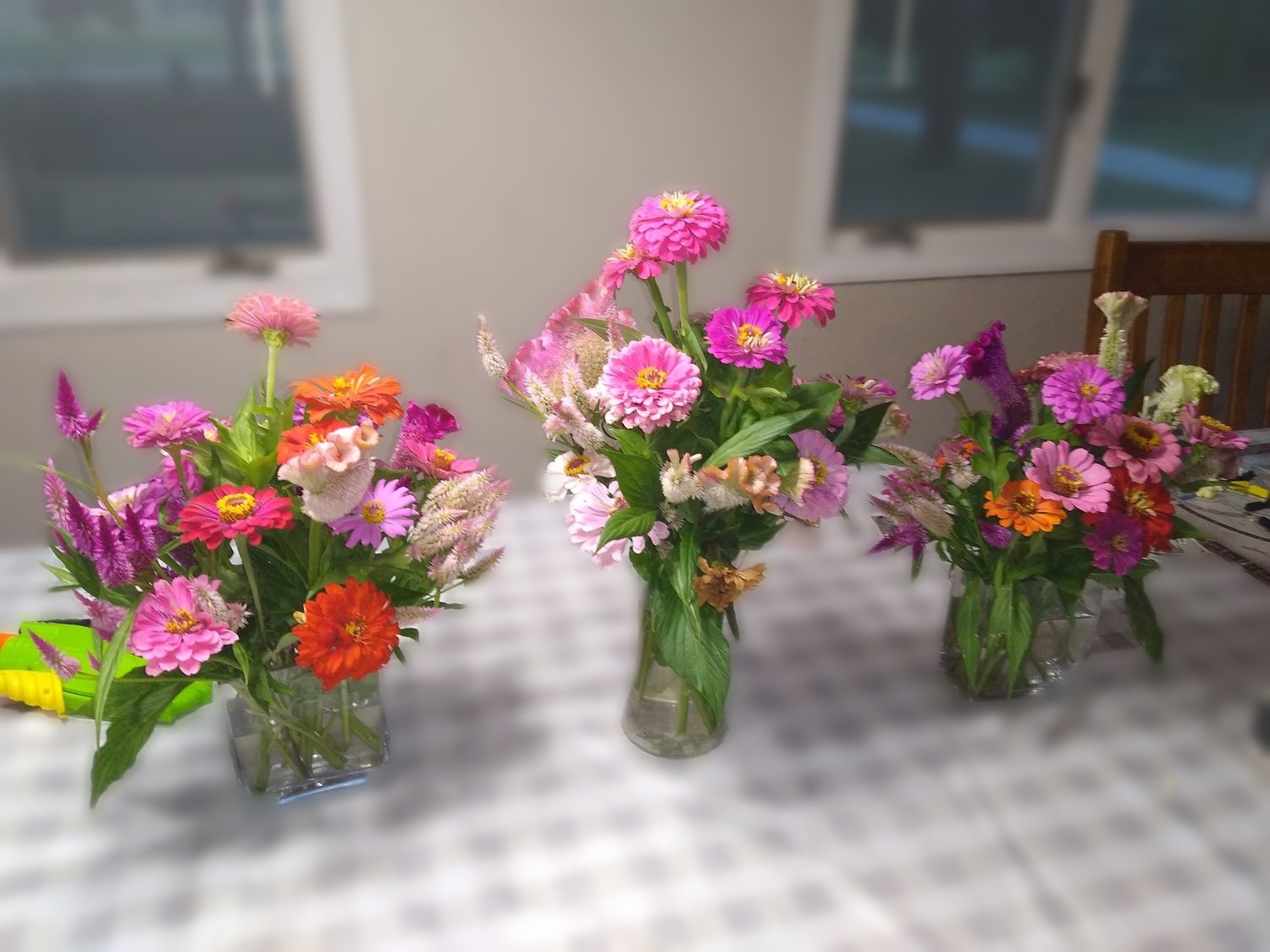 Three table arrangements of garden zinnias and celosia